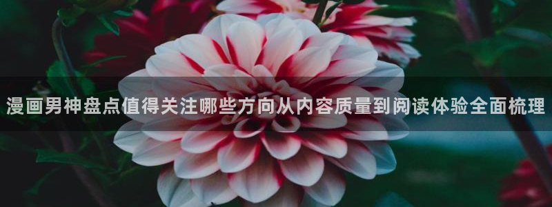 免费看漫画国漫