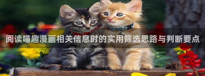 免费看漫画热门推荐：阅读喵趣漫画相关信息时的实用筛选思路与判断要点