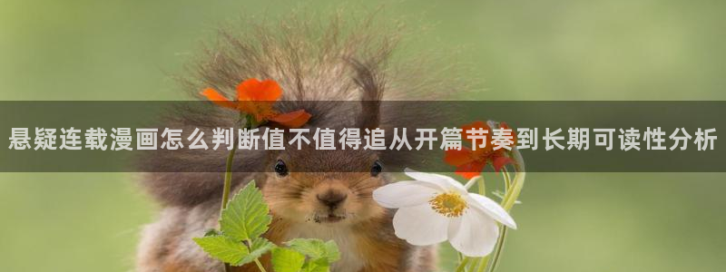 免费看漫画少年漫画:悬疑连载漫画怎么判断值不值得追从开篇节奏到长期可读性分析